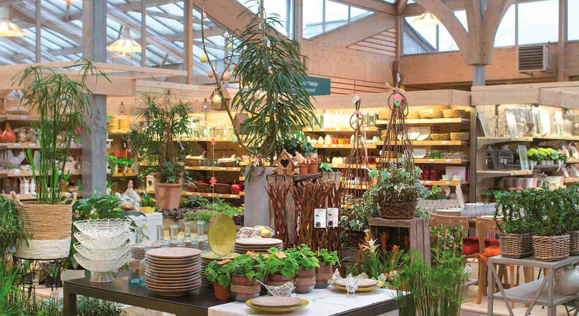 nouveau, magasin, botanic, dijon
